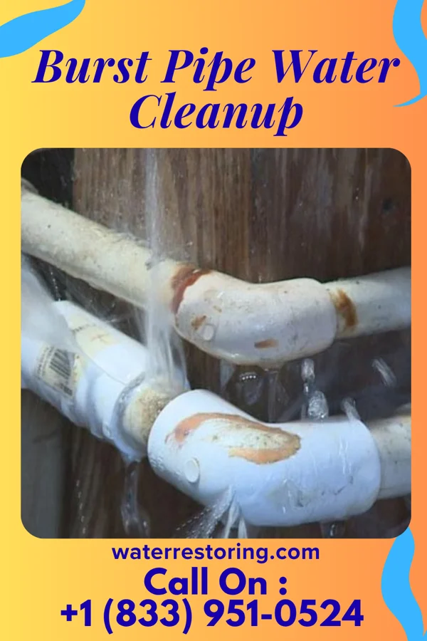 Burst Pipe Water Cleanup in Manuel Garcia, TX