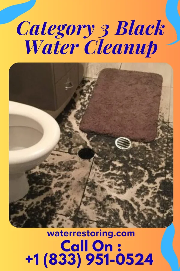 Category 3 Black Water Cleanup in Manuel Garcia, TX