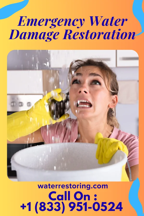 Emergency Water Damage Restoration in Manuel Garcia, TX