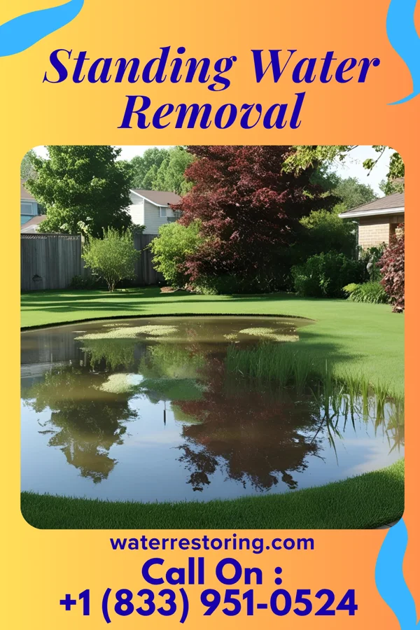 Standing Water Removal in Manuel Garcia, TX